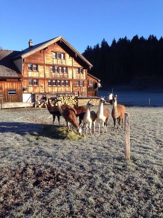 Bauernhof Lank - Appenzellerferien - Susanne und Benjamin Rempfler