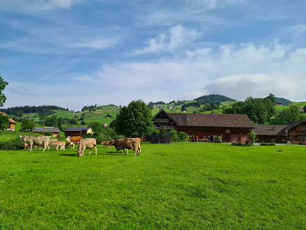 Bauernhof Lank - Appenzellerferien - Susanne und Benjamin Rempfler